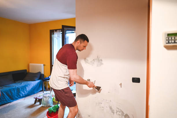Best Office Mold Removal Services  in South Padre Island, TX
