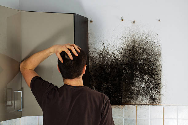 Mold Removal Process in South Padre Island, TX